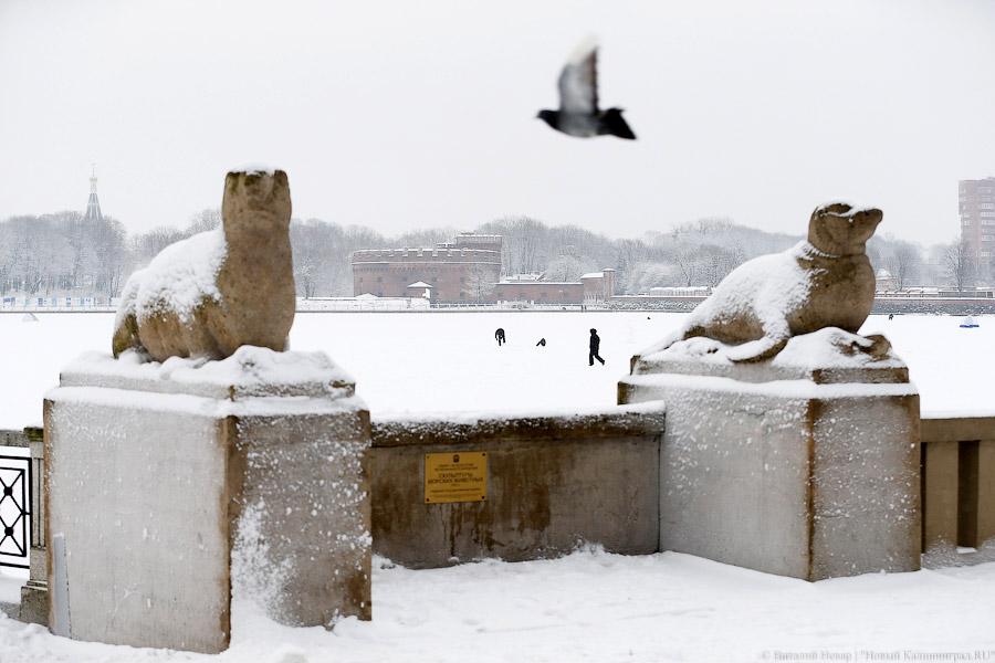 Область отправляет технику для спасения Калининграда от снега