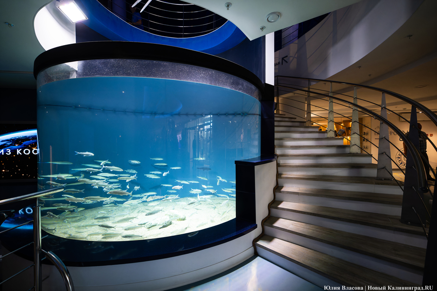 Музей-корабль, музей-планета: экскурсия по корпусу-шару «Планета Океан»