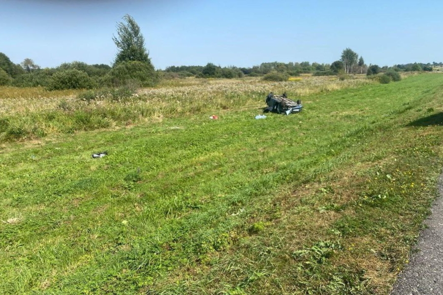 Под Черняховском «Митсубиси» вылетела с трассы и перевернулась, водитель погибла (фото)