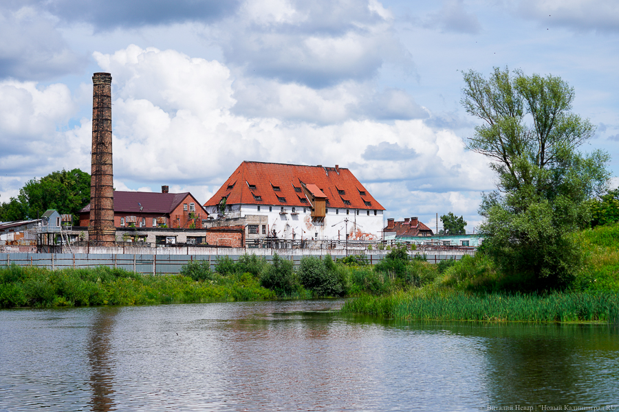 Своды замка Тапиау хотят расписать средневековыми сюжетами