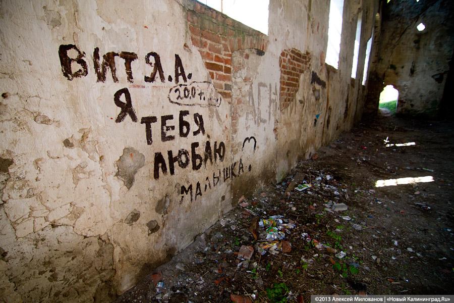 «Фрески и аисты»: вокруг кирхи в посёлке Кумачево идёт судебная тяжба
