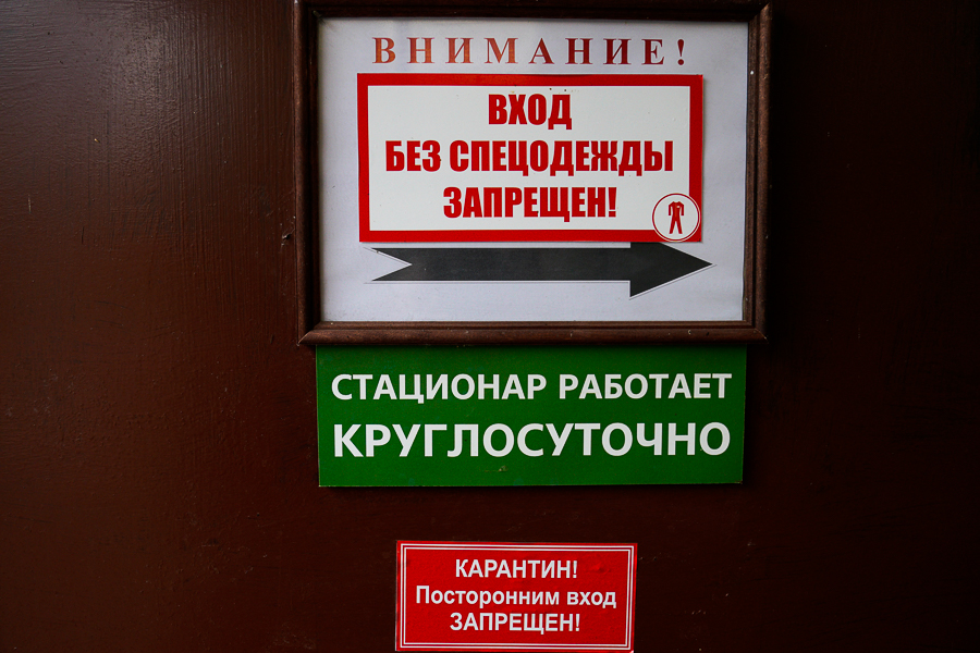 В Калининградской области от коронавируса умерли ещё шесть человек