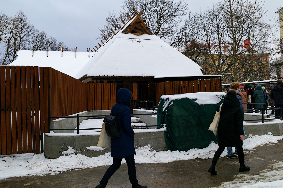 Проще — не всегда правильнее: в Калининградском зоопарке отремонтировали исторические вольеры (фото)