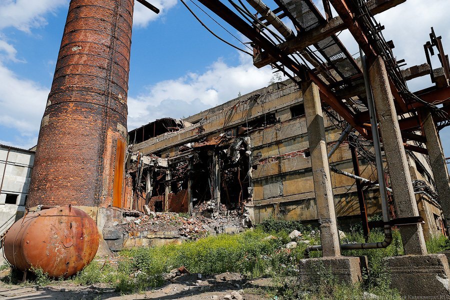 «Пламя из недр»: что происходит на горящих короотвалах в Калининграде (фото)