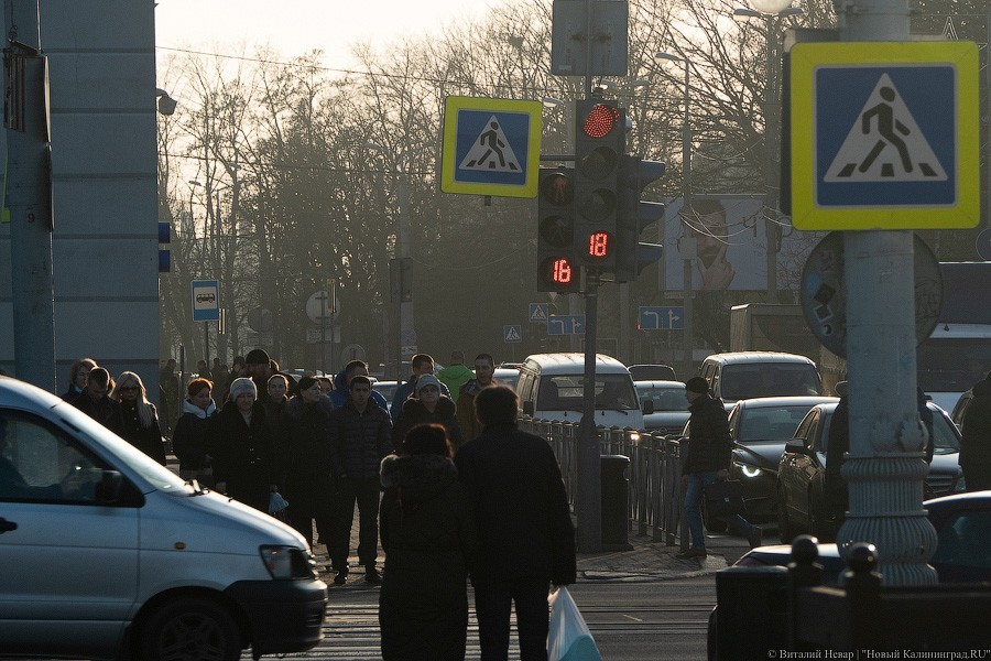 Ученые: загрязненный выхлопными газами воздух способствует возникновению рака