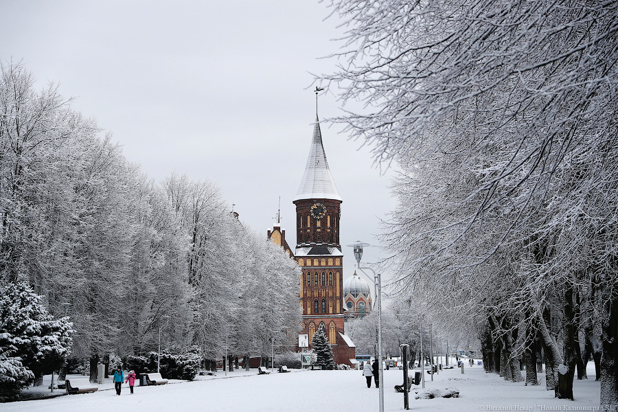 Пик резкого похолодания в Калининградской области ожидается утром 6 января