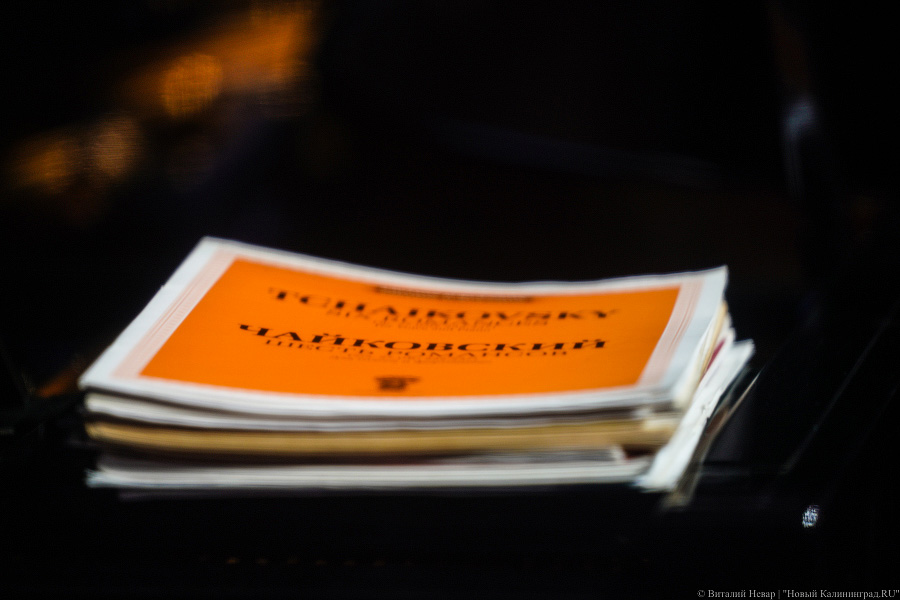 Любовь и жизнь: во Фридрихсбургских воротах выступила солистка Михайловского театра (фото)