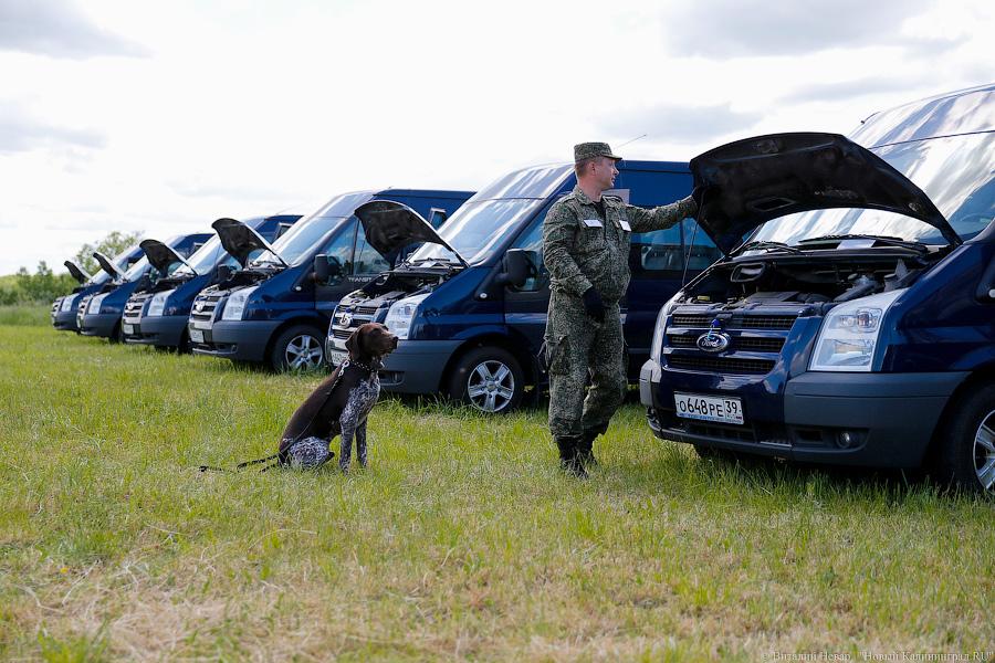 Пёс Барбос и наркокросс: под Калининградом прошли соревнования кинологов