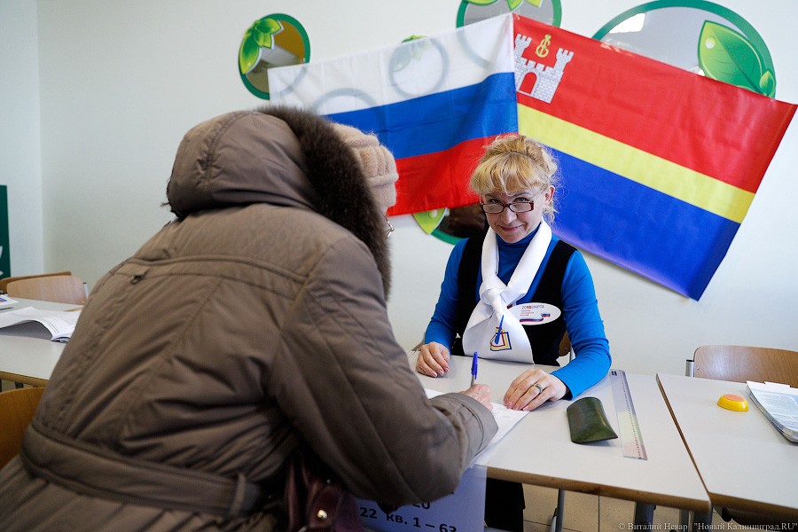 За гречку и тушёнку: как калининградцы выбирали президента России (фото)