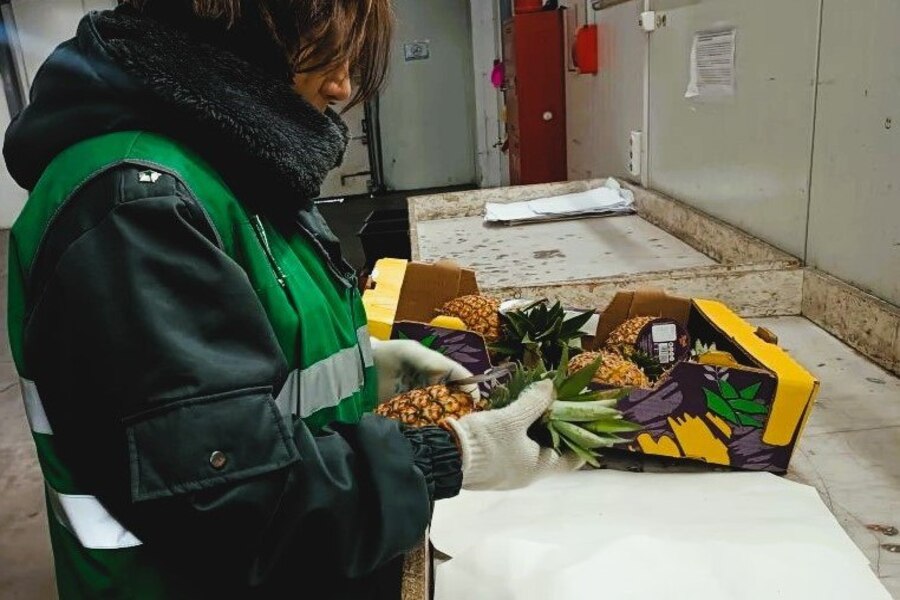 В Калининградскую область с начала года ввезли 12 тыс. тонн овощей и фруктов