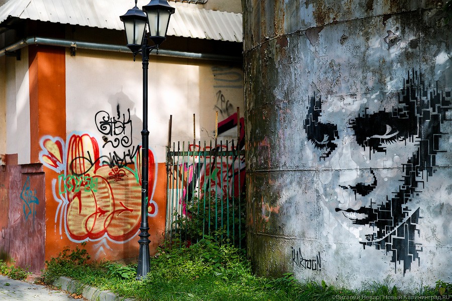 Замглавы администрации Калининграда хочет встретиться с «граффитчиками» и договориться