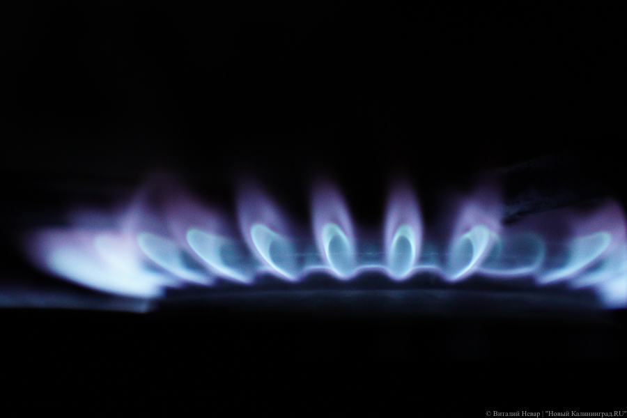 Власти Польши уточнили, в какие сроки намерены отказаться от газа, нефти и угля из РФ