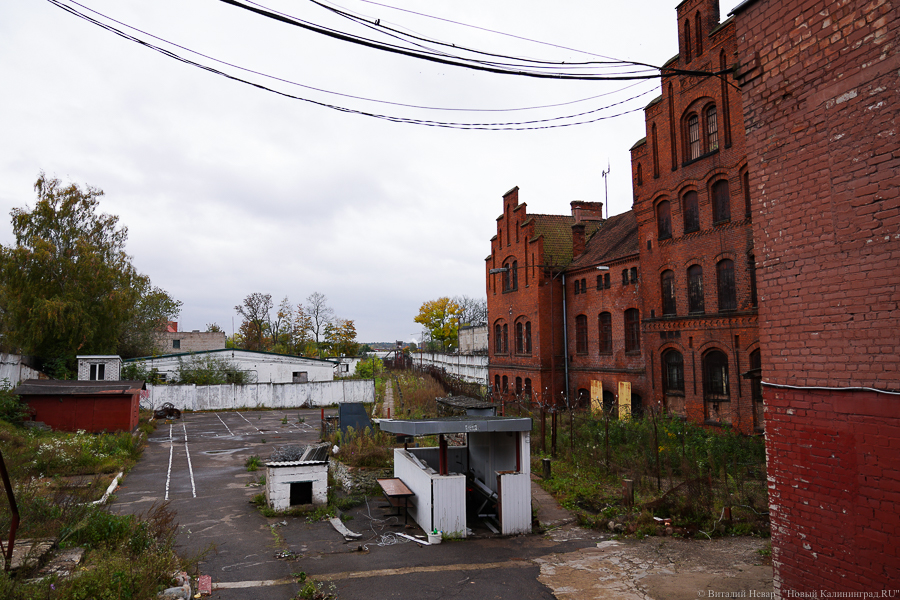 Фото: Виталий Невар / Новый Калининград