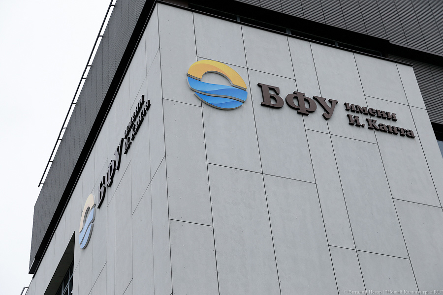 В БФУ имени Канта научились синтезировать нефть из водорослей и морского мусора