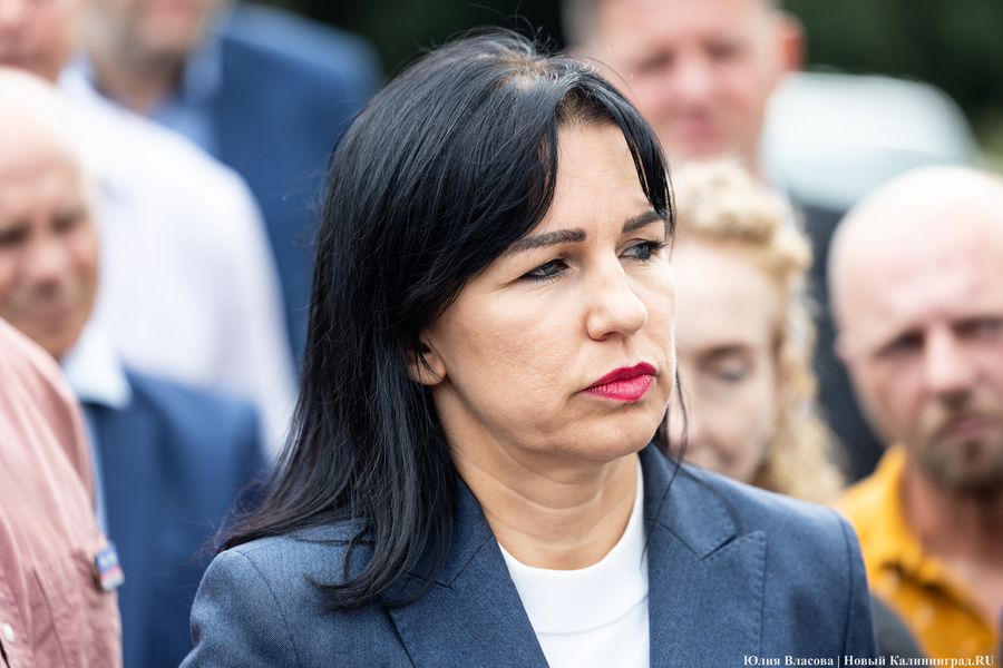 «Стихией управлять не научились»: как глава Минприроды РФ понюхал воздух в Круглово (фото)