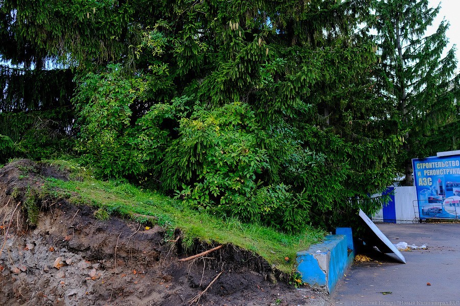 Огород вместо поля: что происходит со стадионом «Балтика» прямо сейчас (фото)