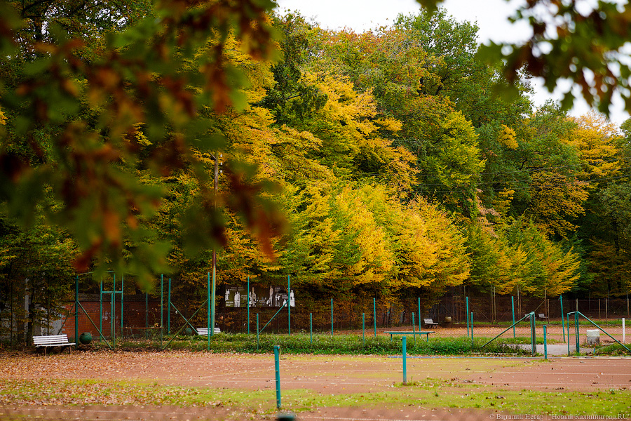 Областные власти попросили суд отменить приостановку застройки «Спартака»