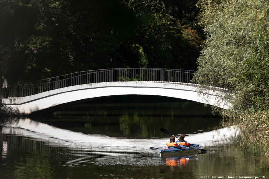 «Цветы против пивных бутылок»: как прошел фестиваль «Хранителей руин» (фото)