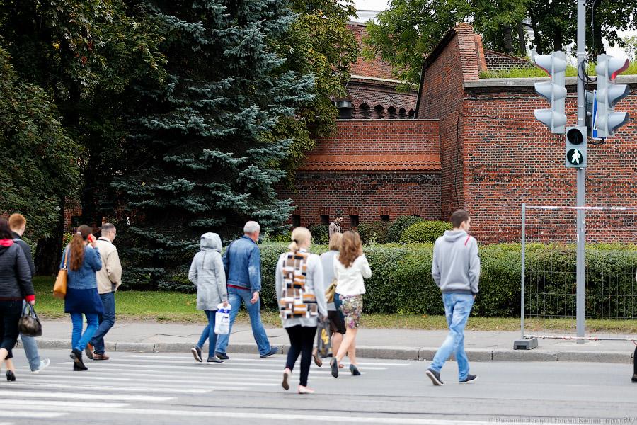 Пробки по центру: новая схема движения вызвала заторы на площади Василевского
