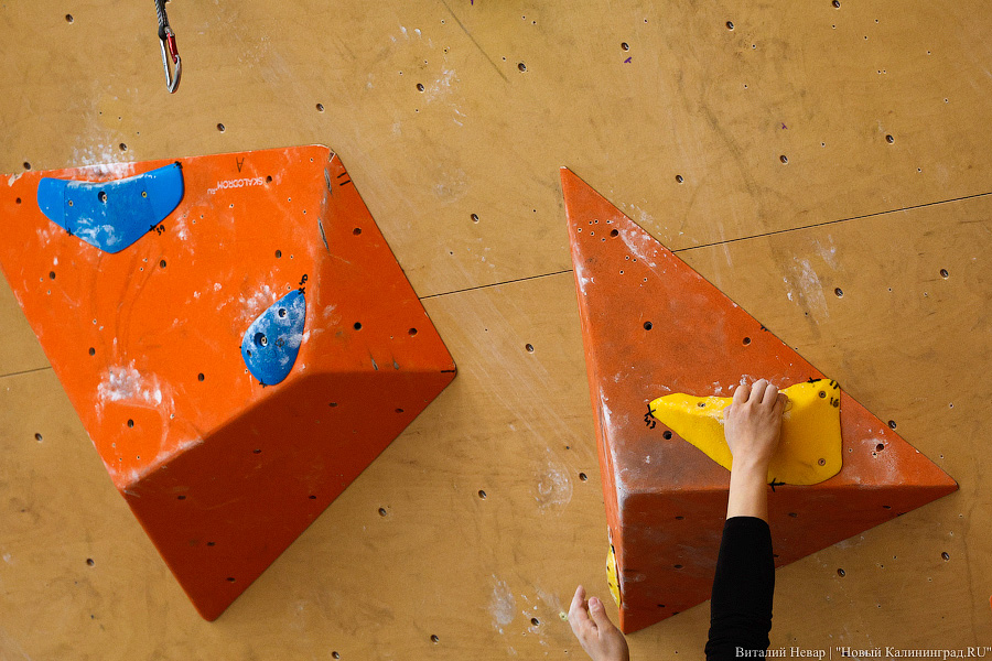Свои вершины: как в Калининграде соревнуются в самом молодом олимпийском виде спорта (фото)