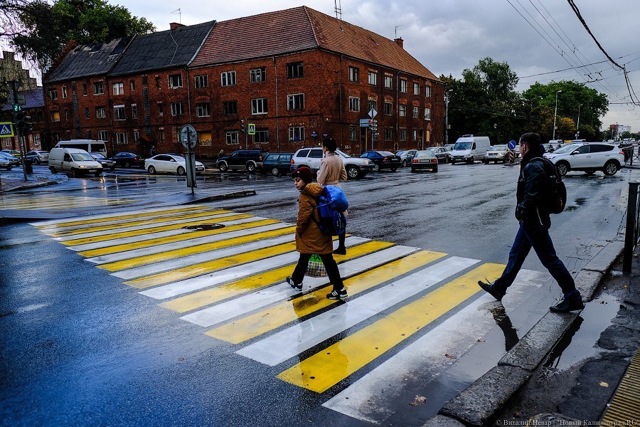 Фото — Виталий Невар, «Новый Калининград».