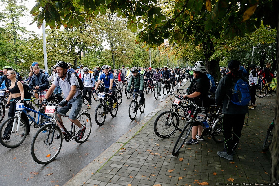 Тур до Кранца: как в Калининграде финишировал велосезон
