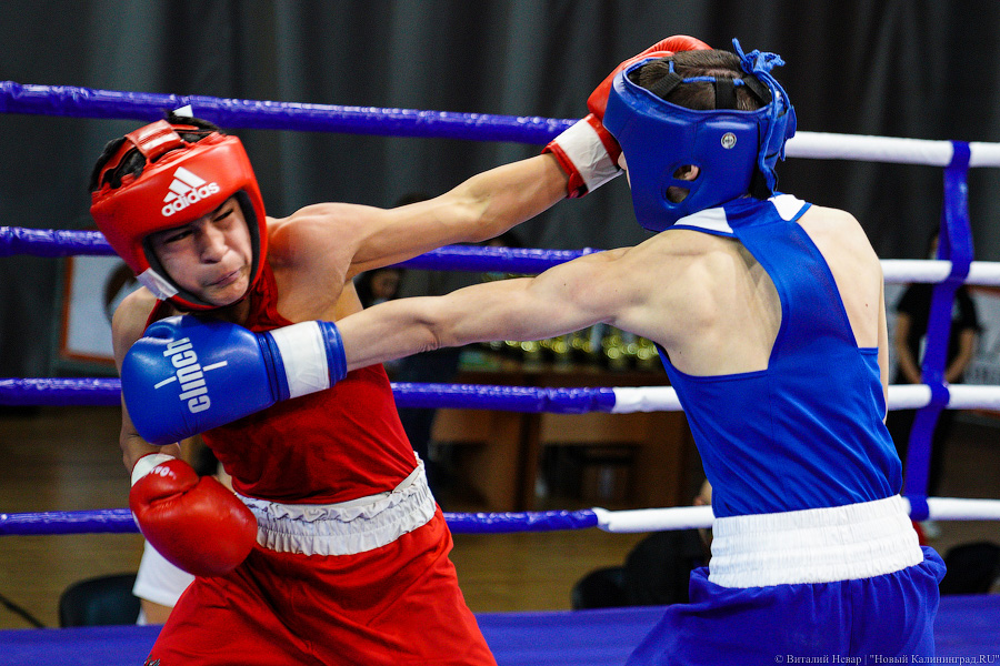 Очередной нокдаун: в Калининграде прошёл международный турнир по боксу «Янтарные перчатки»