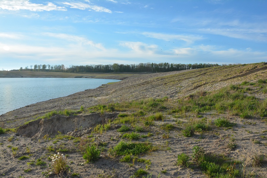 Озеро вместо леса: как выглядит после рекультивации карьер, где вырубили 60 га (фото)