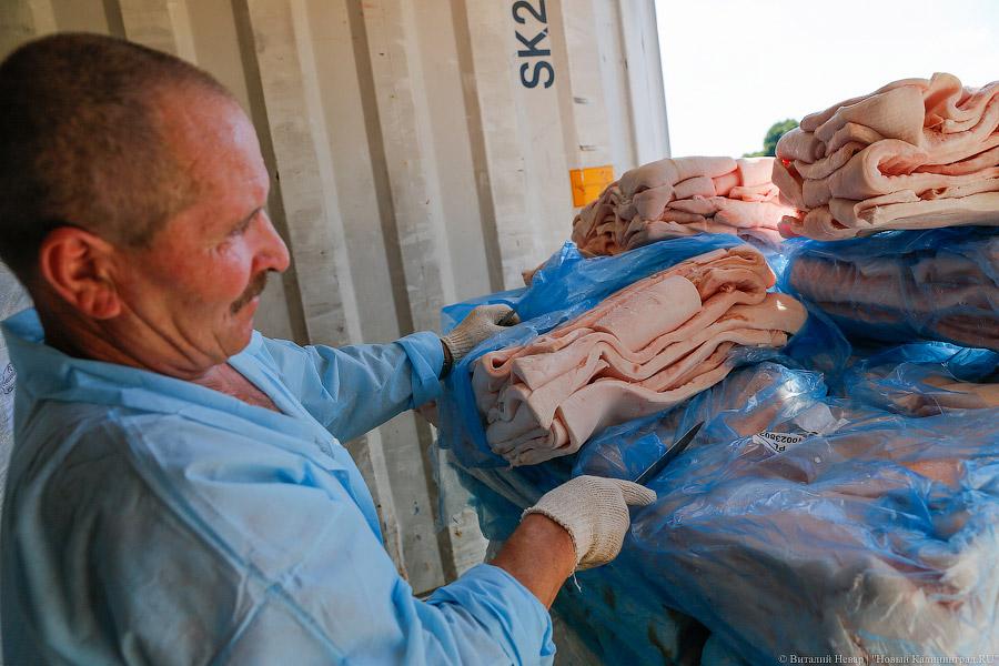 Похороны сала: как под Калининградом санкционную еду уничтожали