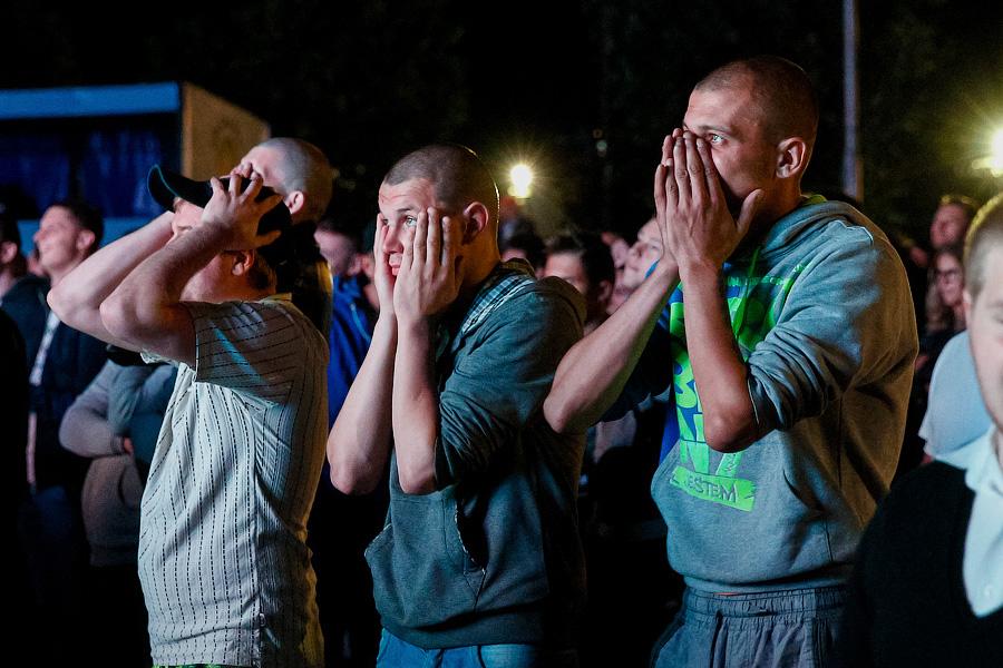 Стоимость фестиваля болельщиков для региона достигла 317 млн руб.