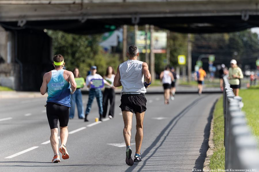 Перекрыть и побегать: марафонцы собрали медали и гнев автомобилистов Калининграда (фото)