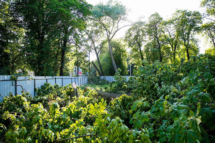 Все законно: власти Калининграда проиграли суд за сквер на улице Горького у прокуратуры