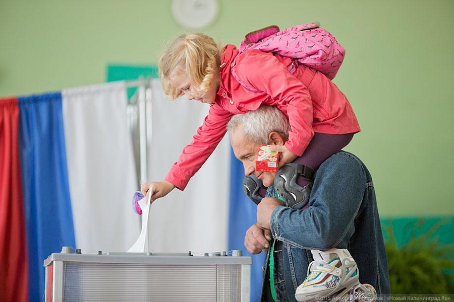 Спрос под стать предложению: как прошёл день голосования в Калининграде