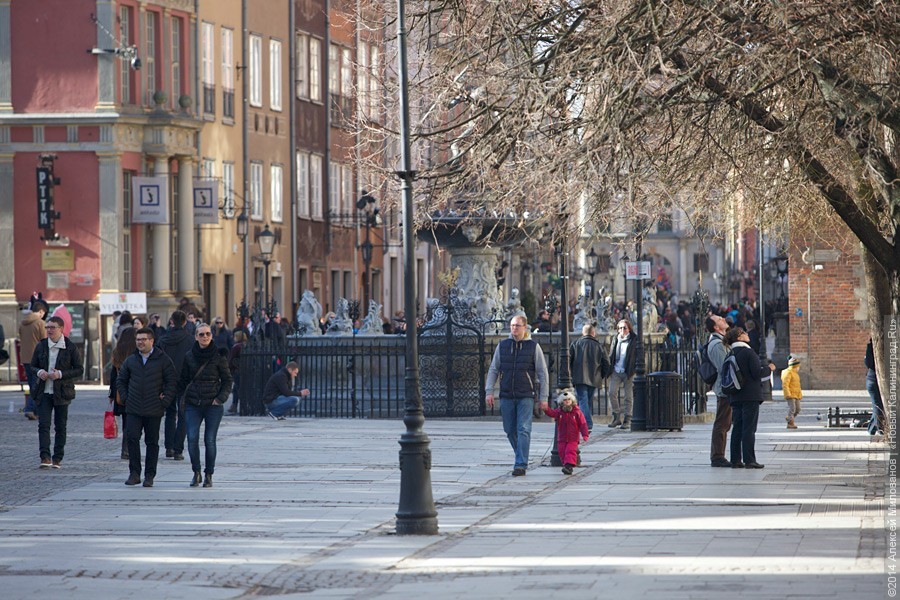 В гданьских автобусах начат эксперимент по внедрению билетоматов