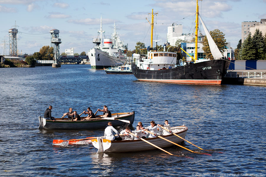 Суши весла!: в Калининграде состоялась международная «Прегельская регата»