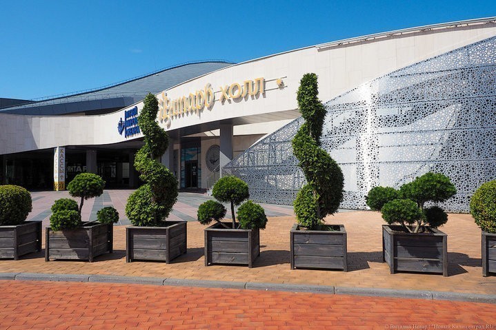 Дочь директора «Янтарь-холла» взяли во ВГИК по «целевому направлению» минкульта