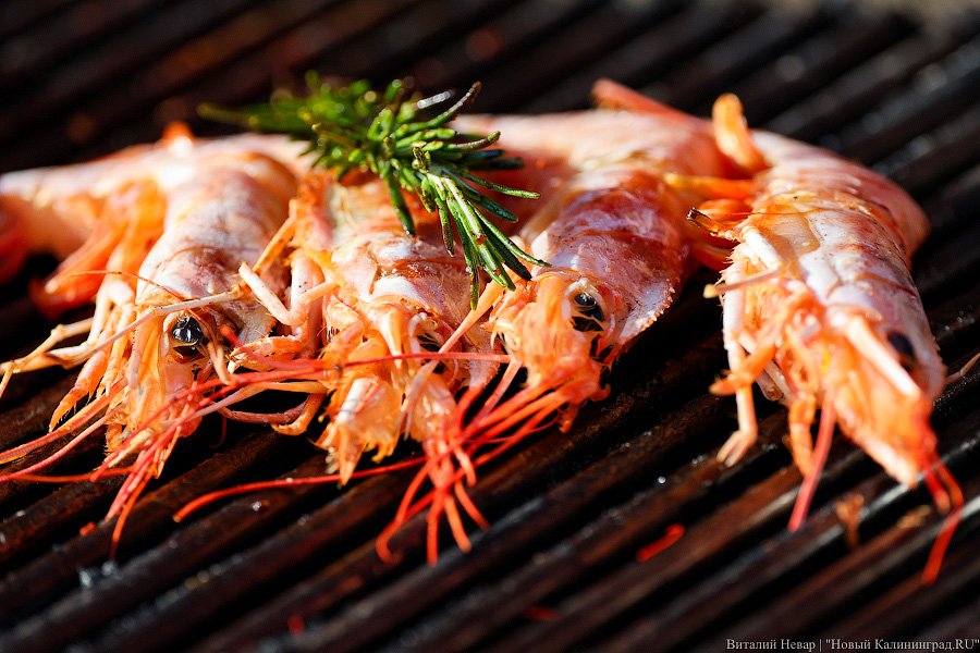 Шашлычок под медлячок: на острове Канта стартовала «Неделя еды и музыки» (фото)