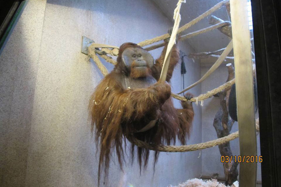 Фото со страницы Калининградского зоопарка в фейсбуке