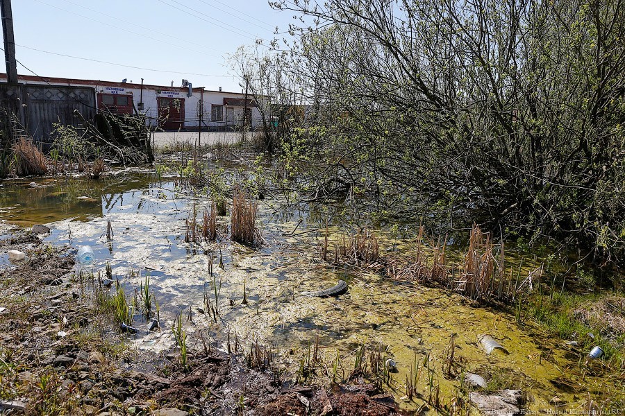 Виталий Невар / Новый Калининград