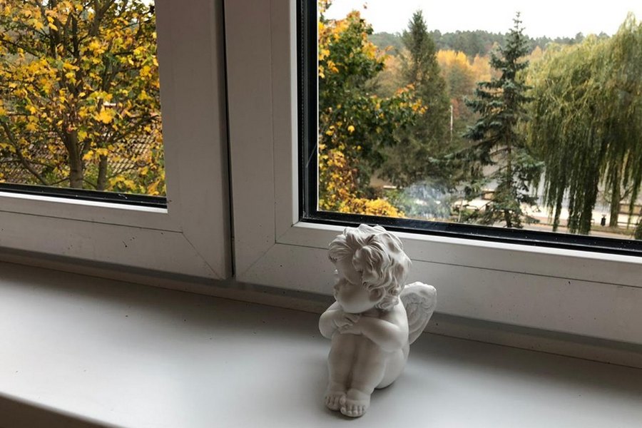 В Светлогорске построили бесплатный гостевой дом для писателей (фото)