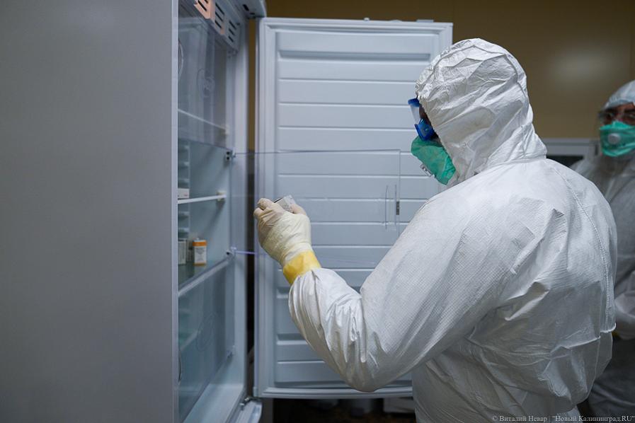 В Минобороны занялись созданием вакцины от коронавируса в форме жвачки