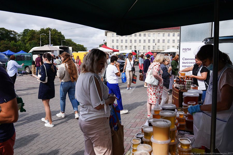 Базар-вокзал: как проходит сельхозярмарка на площади Победы в Калининграде