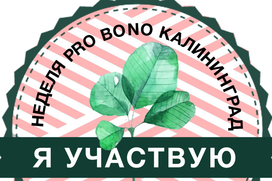 Помогут за спасибо: в Калининграде впервые проходит Pro bono week