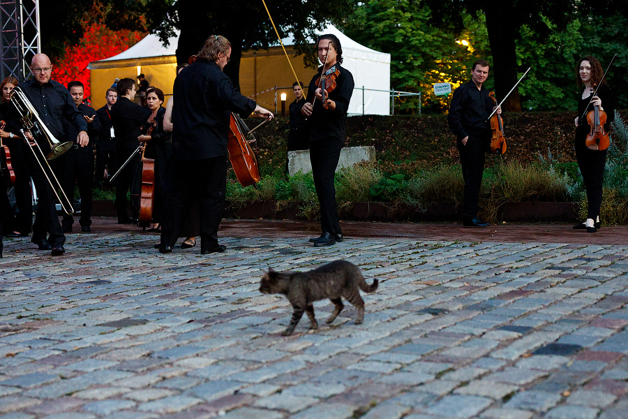 «Территория мира»: на острове Канта открылся фестиваль классической музыки (фото)