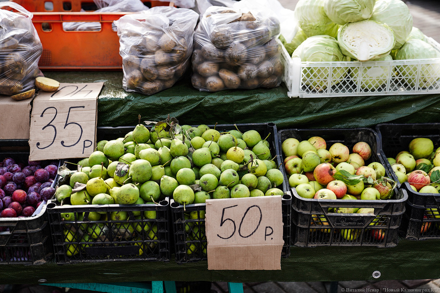 Базар-вокзал: как проходит сельхозярмарка на площади Победы в Калининграде