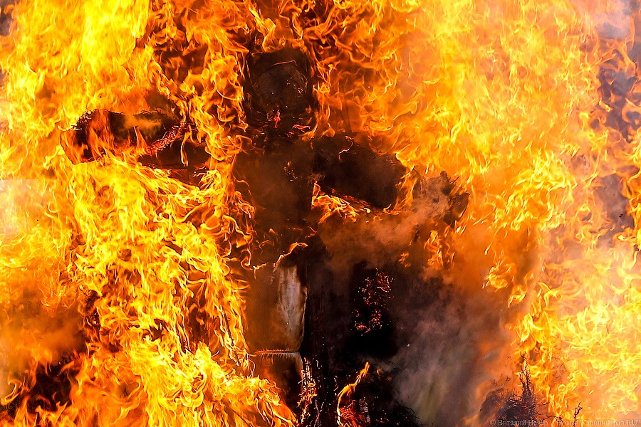 Фото: Виталий Невар / Новый Калининград 