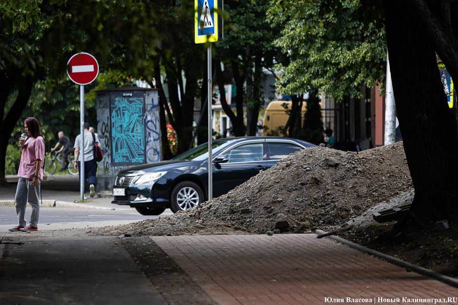 Упорядочить брусчатку и оживить сквер: в Калининграде планируют реконструировать улицу Пацаева