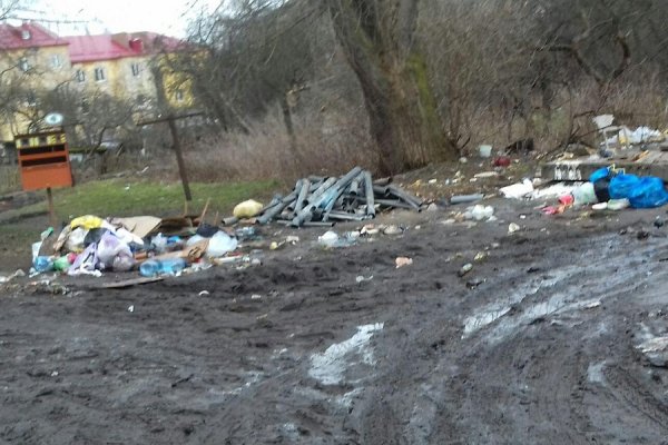 «В школу через помойку»: на ул. Березовой в Калининграде исчезли мусорные контейнеры