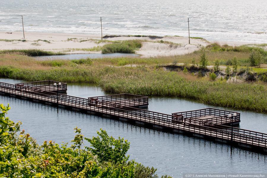 Янтарный. Фото — Алексей Милованов, «Новый Калининград.Ru»
