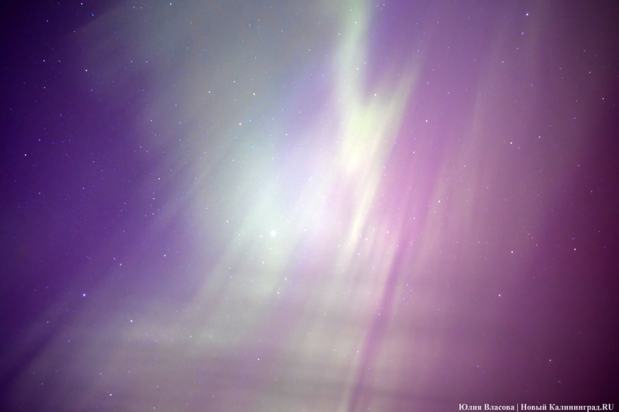 Дар Солнца: северное сияние над Калининградской областью (фото)